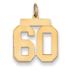 14K Yellow Gold Polished Finish Medium Size Number 60 Charm Pendant