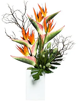 Bird Of Paradise Elegance Large Yacht Silks Arrangement