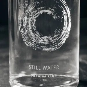 Glass Water Bottle with Lid - Still