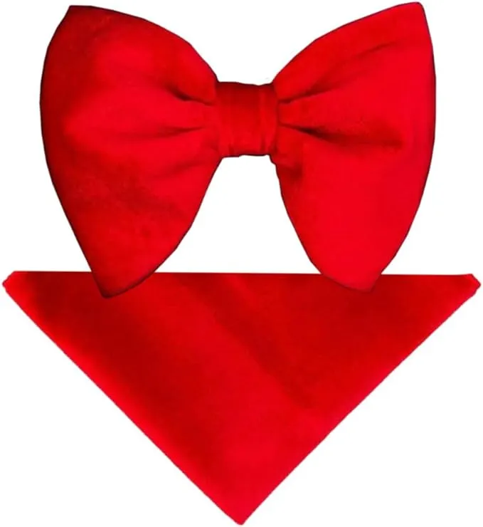 Vittorio Farina Men's Velvet Teardrop Bow Tie & Pocket Square in Gift Box